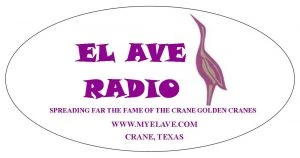 El Ave Radio